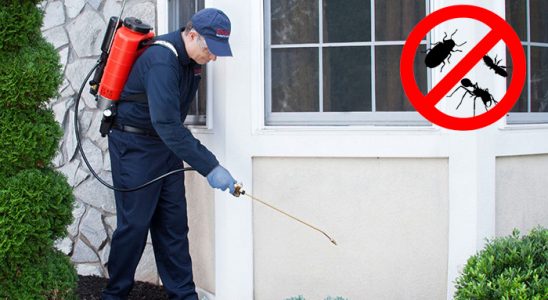 Suluova Gümüşkurt İlaçlama böcek ilaçlama ve haşere kontrolü — ilaclama-tr.com